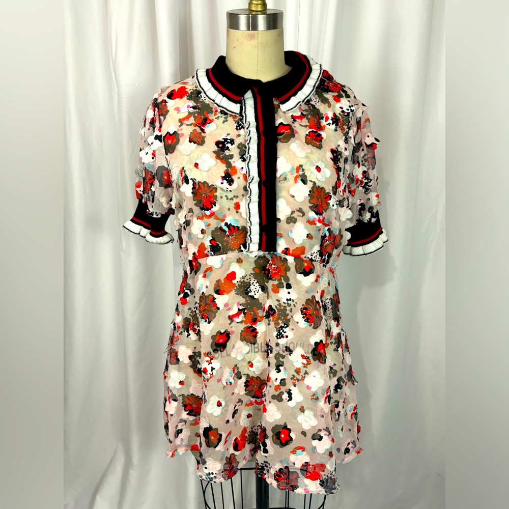 Eva Franco Sheer Floral Collared Babydoll Dress Small Medium 4